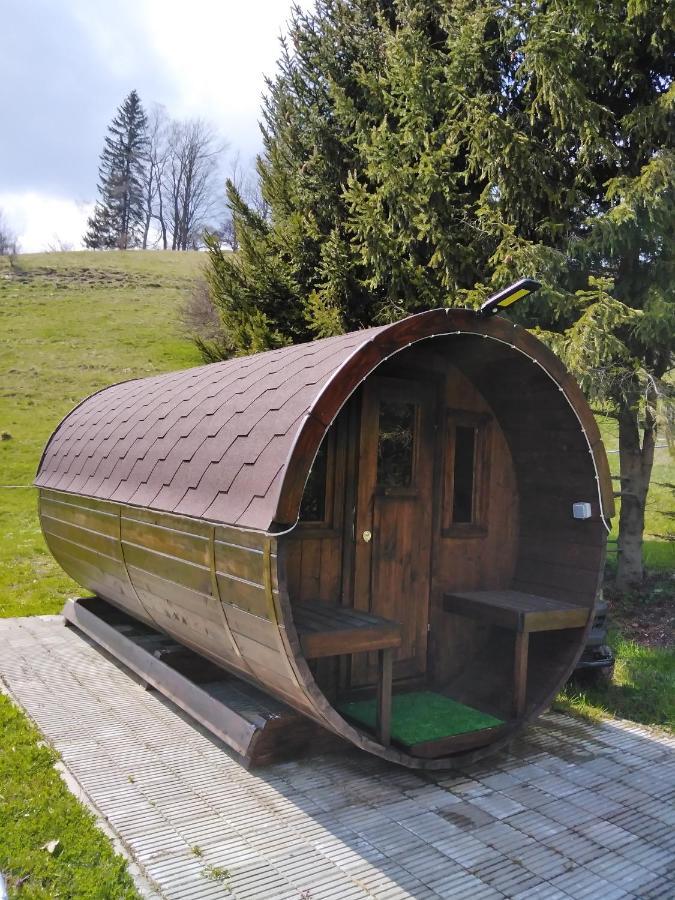 Penzion Iris Krkonose Horní Maršov 외부 사진
