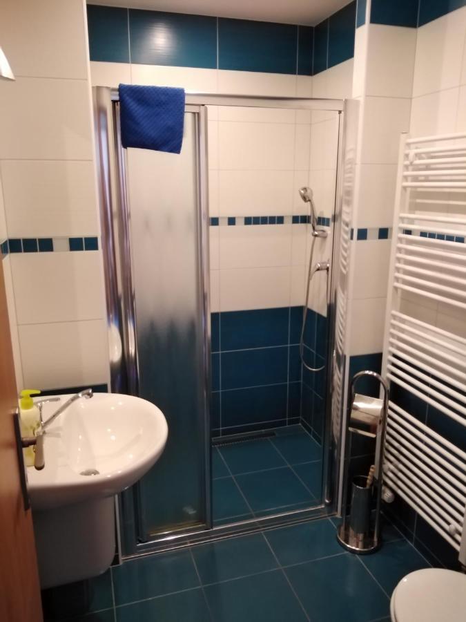 Penzion Iris Krkonose Horní Maršov 외부 사진